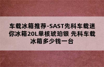 车载冰箱推荐-SAST先科车载迷你冰箱20L单核琥珀银 先科车载冰箱多少钱一台